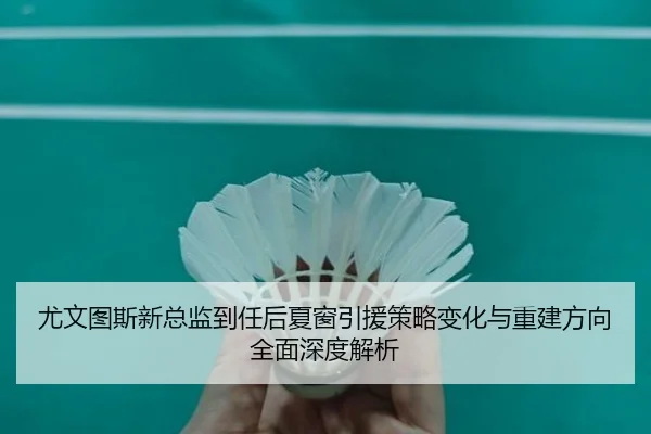 尤文图斯新总监到任后夏窗引援策略变化与重建方向全面深度解析